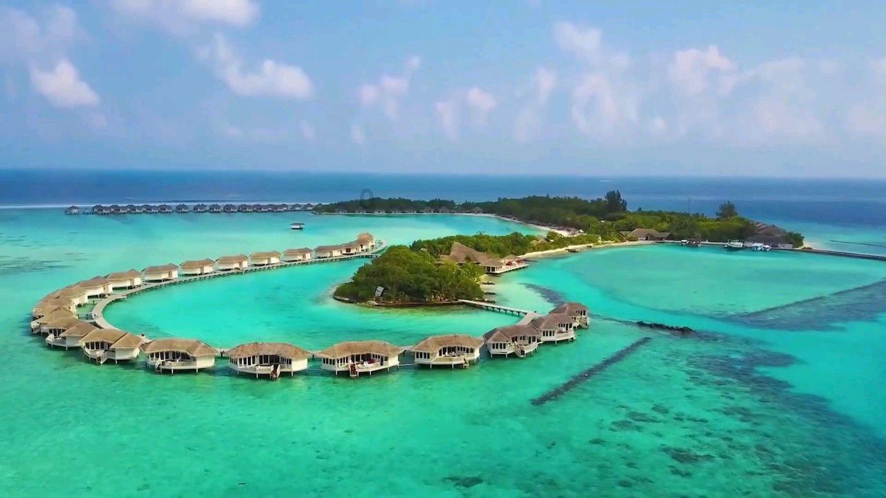 中原再担保集团股份有限公司总经理刘向东接受纪律审查和监察调查